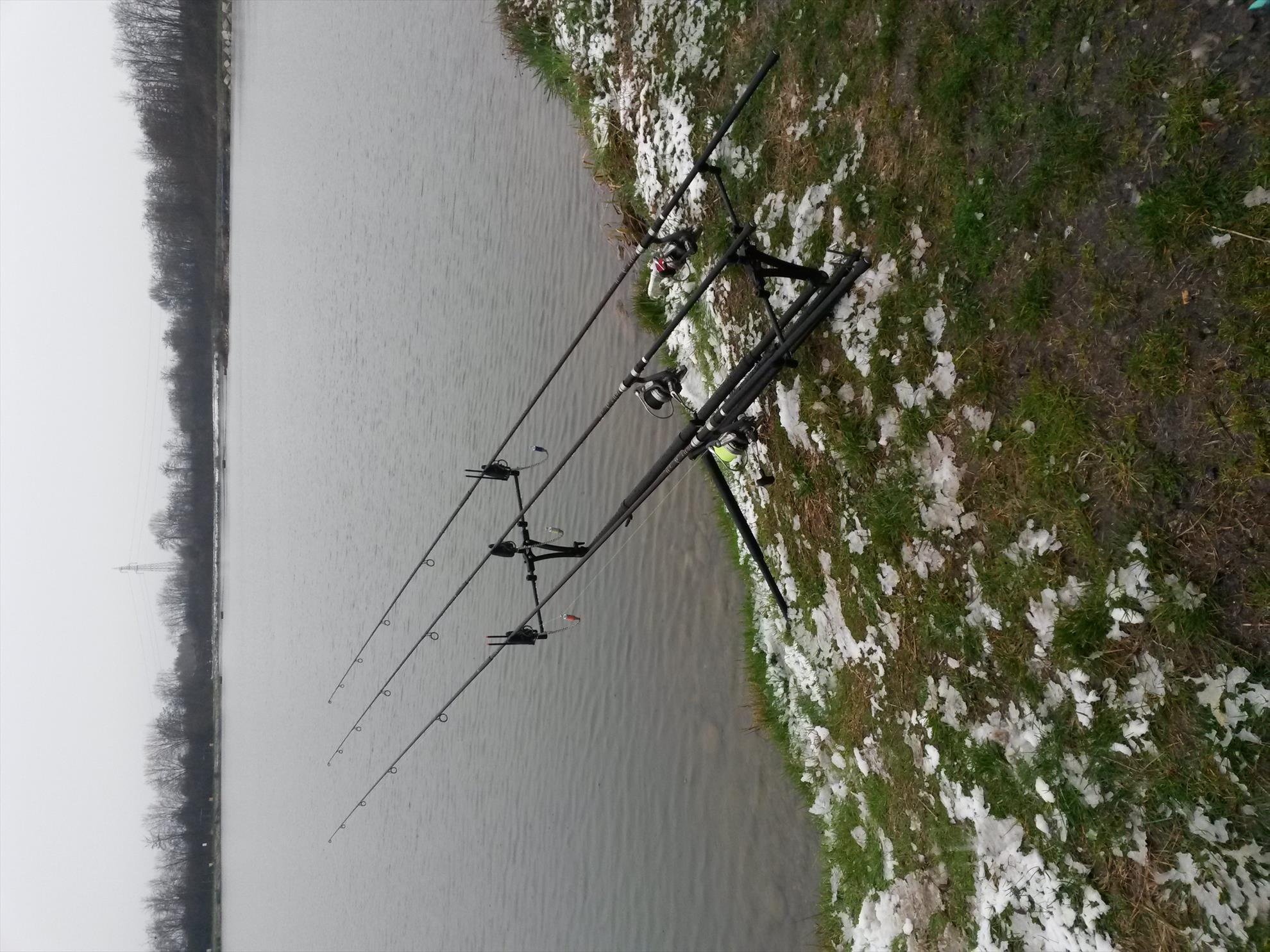 ISOLA DEL PESCATORE 16 - 17 martie 2016 - 20160316174346.jpg